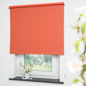 Seitenzugrollo LIEDECO Uni Rollos Gr. 180 cm, 242 cm, orange (terrakotta, bitte auswählen) Verdunkelungsrollos Welle 36 mm stabiler Kettenzug