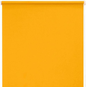 Seitenzugrollo SUNLINES One size Style uni Verdunkelung Rollos Gr. 180 cm, 182 cm, gelb (sonnengelb) Verdunkelungsrollos