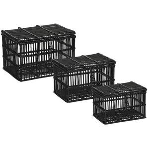 Set aus 3 Koffern Rattan, schwarz