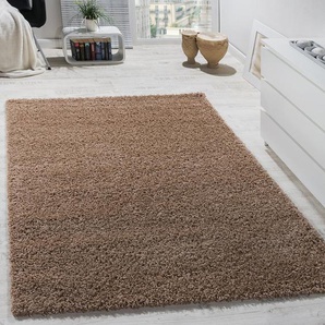 Shaggy-Teppich Braun in Beige