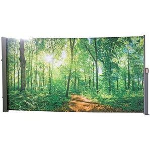 Sichtschutz Waldlichtung 9 x 160 x 300cm