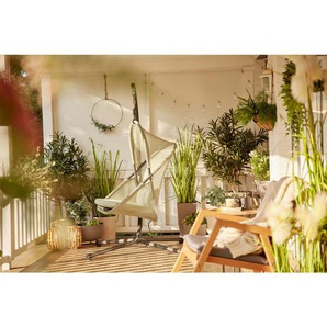 Siena Garden Hängesessel , Grün , Metall, Kunststoff , Füllung: Vlies,Vlies , 123x192x102 cm , wetterbeständig, Rückenlehne umklappbar , Gartenmöbel, Hängesessel