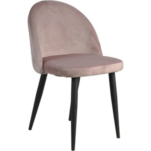 Polsterstuhl SIT Sit&Chairs Stühle Gr. B/H/T: 49 cm x 79 cm x 52,5 cm, 2 St., Samtvelours, Metall, rosa (altrosa, schwarz) Polsterstühle