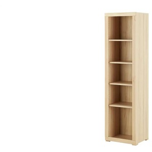 smart Aktenregal - holzfarben - Materialmix - 51 cm - 189 cm - cm 42,0 | Möbel Kraft
