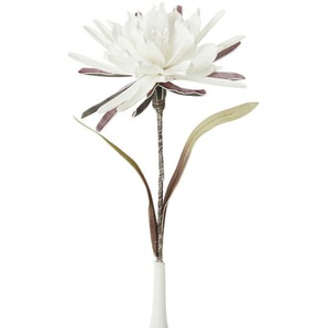 Soft Flower Kaktusblüte - weiß - Kunststoff, Metall - 90 cm | Möbel Kraft