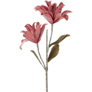 Soft Flower Kamelienzweig - rosa/pink - Kunststoff, Metall - 118 cm | Möbel Kraft