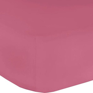 Spannbettlaken MR. SANDMAN Elastan Basic Bettlaken Gr. B/L: 140-160 cm x 200-220 cm (1 St.), Jersey-Elasthan, 30 cm, lila (brombeer) Spannbettlaken Laken äußerst formstabil