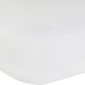 Spannbettlaken MR. SANDMAN Full Elastan de Luxe Laken Gr. B/L: 140-160 cm x 200-220 cm 1 St., Jersey-Elasthan, 40 cm, 140-160 x 200-220 cm, weiß Spannbettlaken extrem dehnfähig für hohe Matratzen