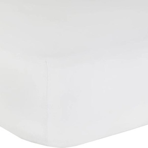 Spannbettlaken MR. SANDMAN Full Elastan de Luxe Laken Gr. B/L: 180-200 cm x 200-220 cm 1 St., Jersey-Elasthan, 40 cm, 180-200 x 200-220 cm, weiß Spannbettlaken