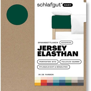 Spannbettlaken SCHLAFGUT EASY Jersey Elasthan Boxspring Bettlaken Gr. B/L: 180-200 cm x 200-220 cm (1 St.), Jersey, 40 cm, grün (green deep) Spannbettlaken MADE IN GREEN by OEKO-TEX