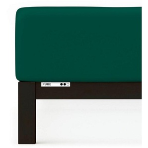 Schlafgut Spannbettlaken PURE BOXSPRING in Gr. 90x200, 140x200 oder 180x200, für Boxspringbett, Jersey-Elasthan, Gummizug: rundum, (1 Stück), aus Bio-Baumwolle, für Matratzen bis 40 cm Höhe, Bettlaken