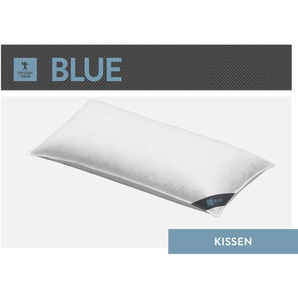 3-Kammer-Kopfkissen SPESSARTTRAUM Blue Kopfkissen Gr. B/L: 40 cm x 80 cm, Baumwolle, 1 St., weiß Weitere Kopfkissen hergestellt in Deutschland, allergikerfreundlich
