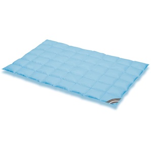 Daunenbettdecke SPESSARTTRAUM Komfort Bettdecken Gr. B/L: 155 cm x 220 cm, extraleicht, blau Sommerbettdecke hergestellt in Deutschland, allergikerfreundlich