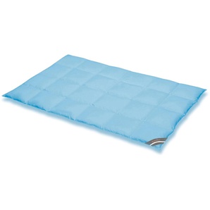 Daunenbettdecke SPESSARTTRAUM Komfort Bettdecken Gr. B/L: 155 cm x 220 cm, warm, blau Sommerbettdecke hergestellt in Deutschland, allergikerfreundlich