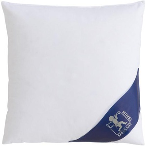 Daunenkissen SPESSARTTRAUM FIRST CLASS Kopfkissen Gr. B/L: 40 cm x 40 cm, Baumwolle, 1 St., weiß Allergiker Kopfkissen hergestellt in Deutschland, allergikerfreundlich