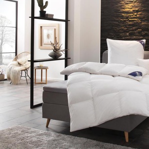 Bettdecken online kaufen bis -75% Rabatt | Möbel 24