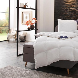 Bettdecken online kaufen bis | Möbel -75% Rabatt 24