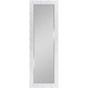 Spiegel 50 x 150 cm Vicky ¦ silber ¦ Kunststoff ¦ Maße (cm): B: 2 H: 150