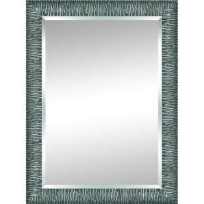Spiegel - silber - Kunststoff - 66 cm - 106 cm - 2,8 cm | Möbel Kraft