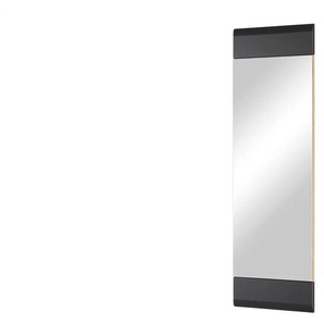 Spiegelpaneel Fun Plus | schwarz | Holzwerkstoff,Glas | 35 cm | 110 cm | cm 2,0 |