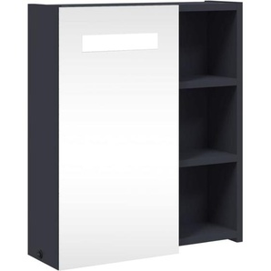 Spiegelschrank mit LED-Beleuchtung Grau 45x13x52 cm Vidaxl