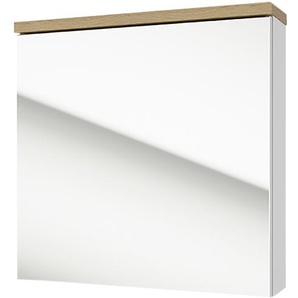 Spiegelschrank  Steller See ¦ mehrfarbig ¦ Maße (cm): B: 60 H: 60 T: 15.0