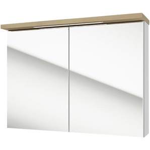 Spiegelschrank  Steller See ¦ mehrfarbig ¦ Maße (cm): B: 80 H: 60 T: 20.0