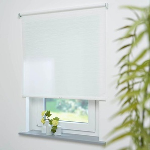 Springrollo LIEDECO Springrollo, mit Dekor, lichtdurchlässig, Faden weiß, Liedeco Rollos Gr. 180 cm, 152 cm, weiß (weiß, weiß) Springrollos Dekorrollo Hergestellt in Deutschland