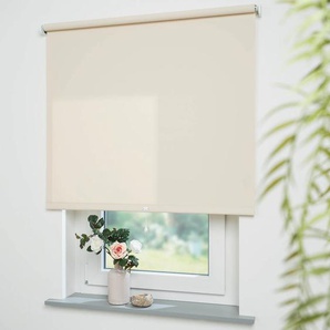 Springrollo LIEDECO Uni Rollos Gr. 180 cm, 212 cm, beige (cream, bitte auswählen) Springrollos Rollowelle 36 mm, starke Feder