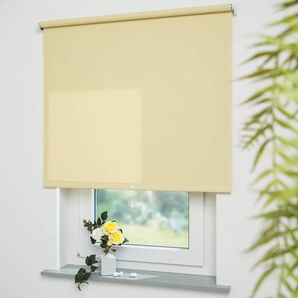 Springrollo LIEDECO Uni Rollos Gr. 180 cm, 212 cm, gelb (gelb, bitte auswählen) Springrollos Rollowelle 36 mm, starke Feder