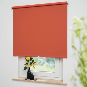 Springrollo LIEDECO Uni Rollos Gr. 180 cm, 212 cm, orange (terrakotta, bitte auswählen) Verdunkelungsrollos Rollowelle 36 mm, starke Feder