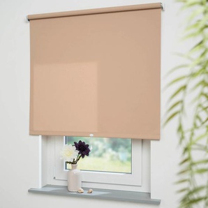 Springrollo LIEDECO Uni Rollos Gr. 180 cm, 222 cm, beige (sandfarben, bitte auswählen) Springrollos Rollowelle 36 mm, starke Feder