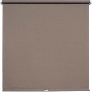 Springrollo LIEDECO Uni Rollos Gr. 180 cm, 242 cm, braun (coffee, bitte auswählen) Springrollos Rollowelle 36 mm, starke Feder
