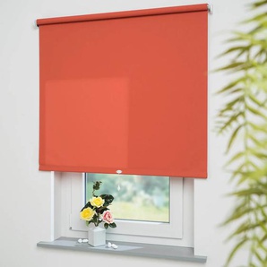 Springrollo LIEDECO Uni Rollos Gr. 180 cm, 242 cm, orange (terrakotta, bitte auswählen) Springrollos Rollowelle 36 mm, starke Feder