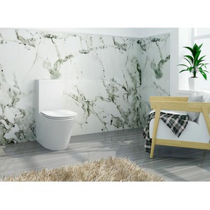 Stand-WC inkl. Spülkasten und Soft-Close Sitz BTWS-6012