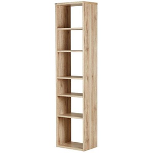 Standregal  Arne ¦ holzfarben ¦ Maße (cm): B: 50,5 H: 211 T: 35.5