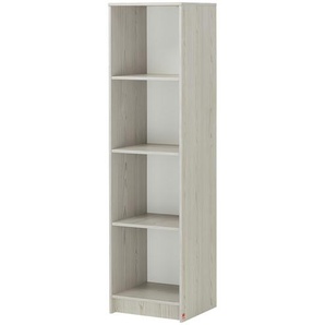 Standregal - grau - Holzwerkstoff - 44 cm - 165 cm - 42 cm | Möbel Kraft