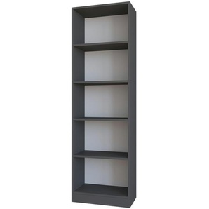 Standregal  Dilos ¦ grau ¦ Maße (cm): B: 56 H: 182,5