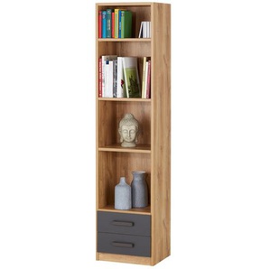 Standregal  Louis ¦ holzfarben ¦ Maße (cm): B: 47 H: 198 T: 38.0