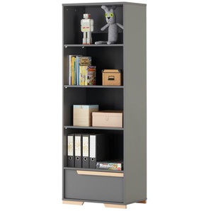 Standregal  Soe ¦ grau ¦ Maße (cm): B: 70,5 H: 195 T: 45.0