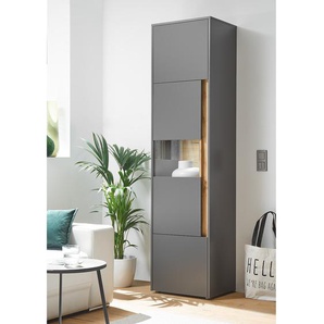 Standvitrine 50 x 197 x 40cm Grau/Anthrazit