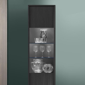 Standvitrine Steel 55 x 200 x 40cm Schwarz