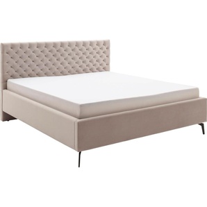 Stauraumbett MEISE.MÖBEL La Maison Betten Gr. Samt, Liegefläche B/L: 180 cm x 200 cm Betthöhe: 50 cm, kein Härtegrad, ohne Matratze, beige Stauraumbetten inkl. Lattenrost und Bettkasten