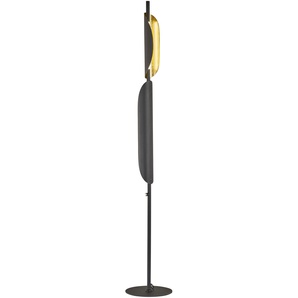 Stehlampe FISCHER & HONSEL Skal Lampen Gr. 1 flammig, Höhe: 155,00 cm, 1 St., beige (sandschwarz) Standleuchten langlebige LED, dimmbar