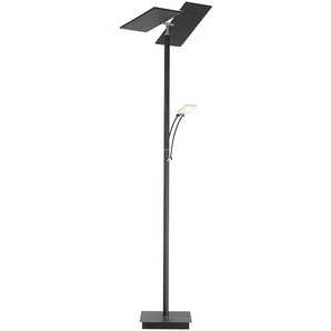 Stehlampe PAUL NEUHAUS ARTUR Lampen Gr. 2 flammig, grau (anthrazit) Standleuchten LED, CCT - tunable white, dimmbar über Tastdimmer, getrennt schaltbar
