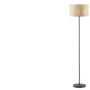 Stehleuchte   ¦ braun ¦ Maße (cm): H: 161  Ø: 35