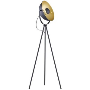 Stehleuchte - schwarz - Materialmix - 40 cm - 160 cm - cm 40,0 | Möbel Kraft