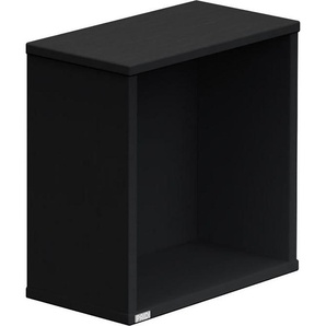 PAIDI Wandregal Wandbox Q, viele Farbvarianten