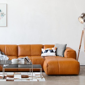 Ecksofa 3-Sitzer mit Longchair Braun/Cognac Echtleder Neka 317cm Longchair davorstehend rechts Modern
