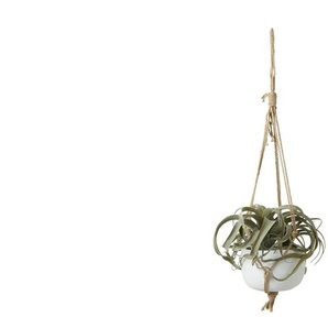 Sukkulente im Keramiktopf - grün - Keramik,Kunststoff - 29 cm - 18.0 | Möbel Kraft